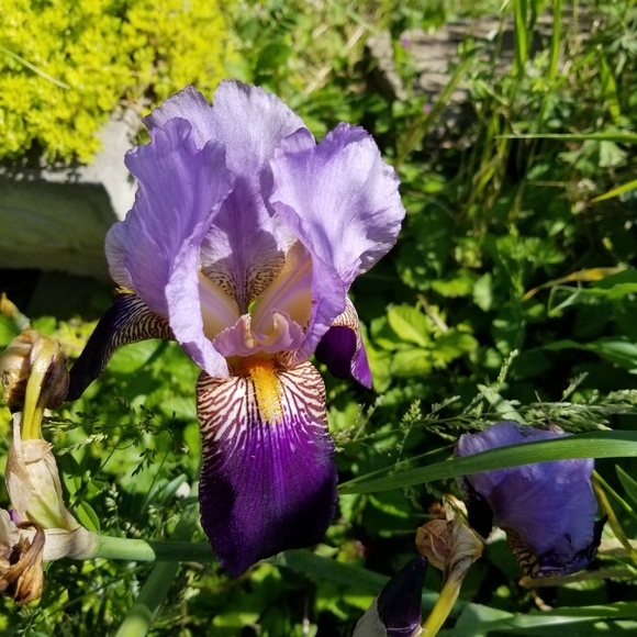 Giant Hello From Georgia! :) - Picture 9 of 10